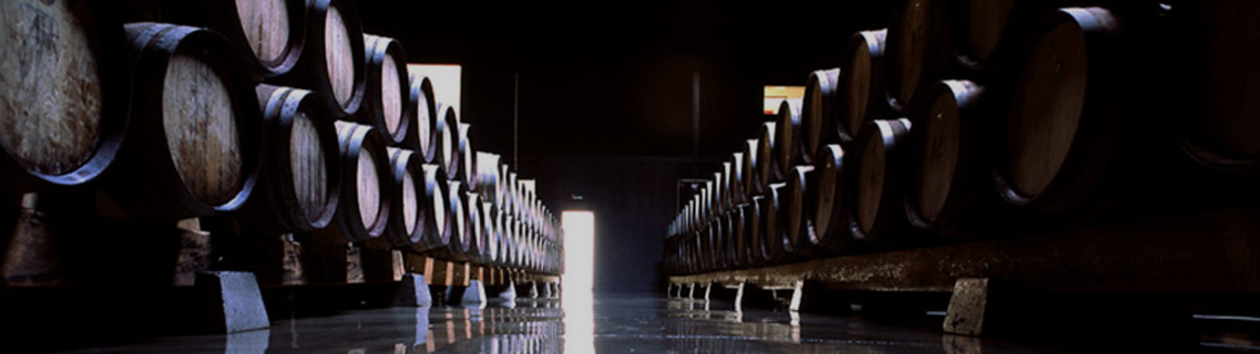 Falua - Wines from Portugal
