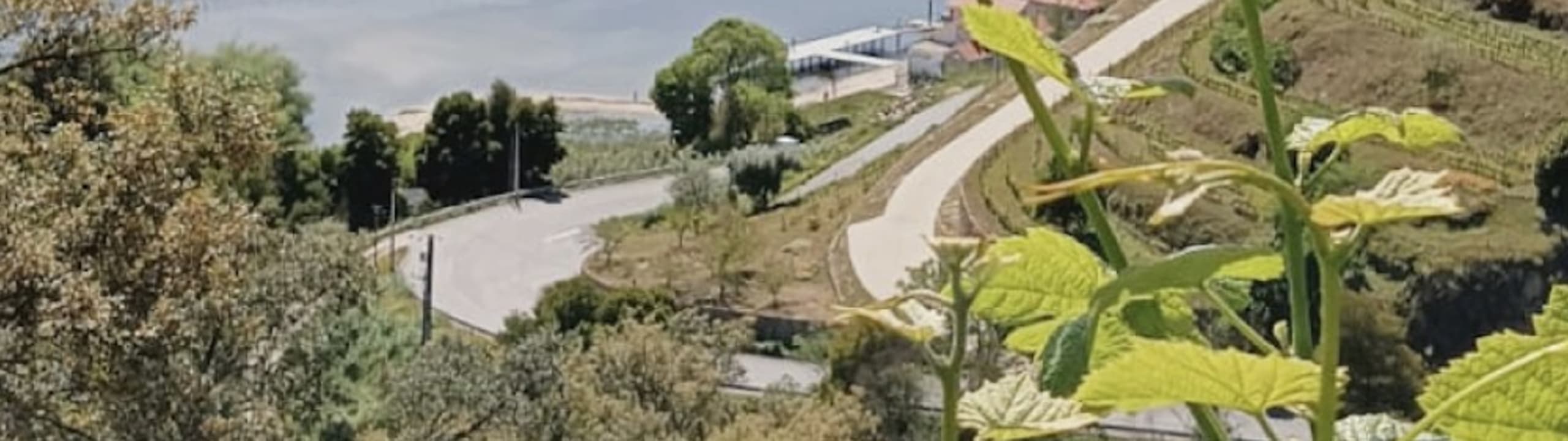 Casa das Hortas