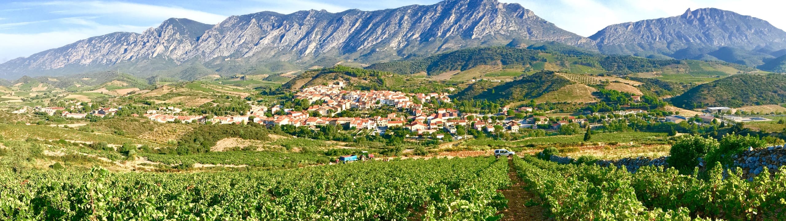 Wines of Roussillon