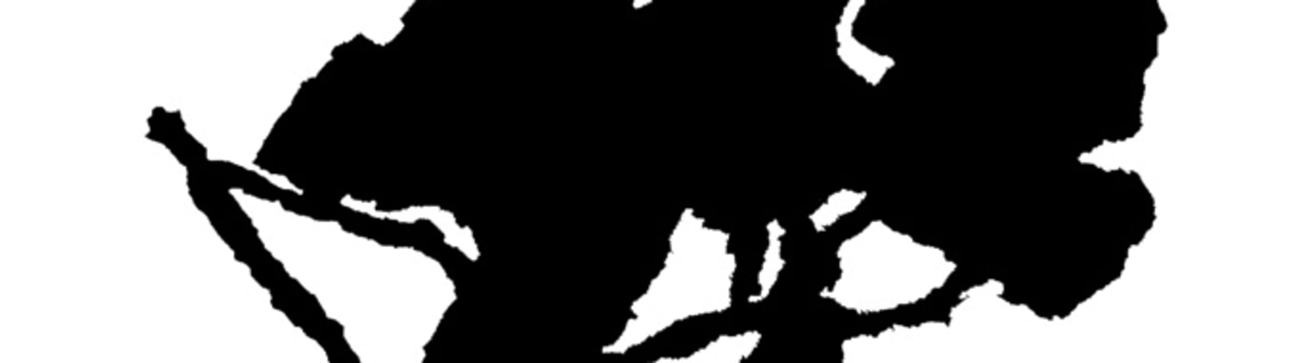 Château La Font des Ormes