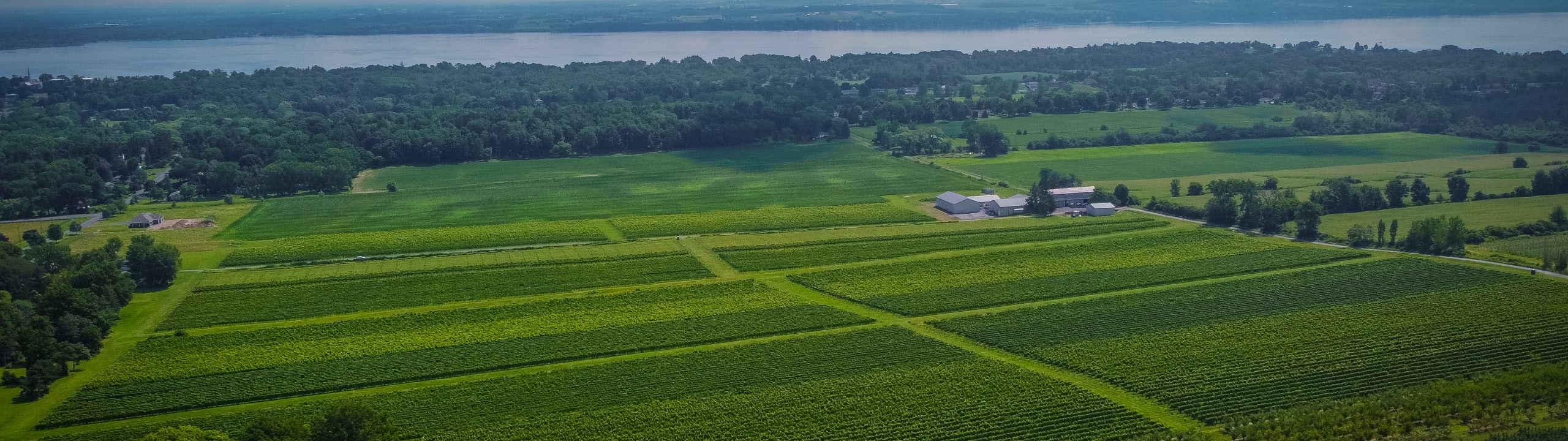 Ravines Wine Cellars