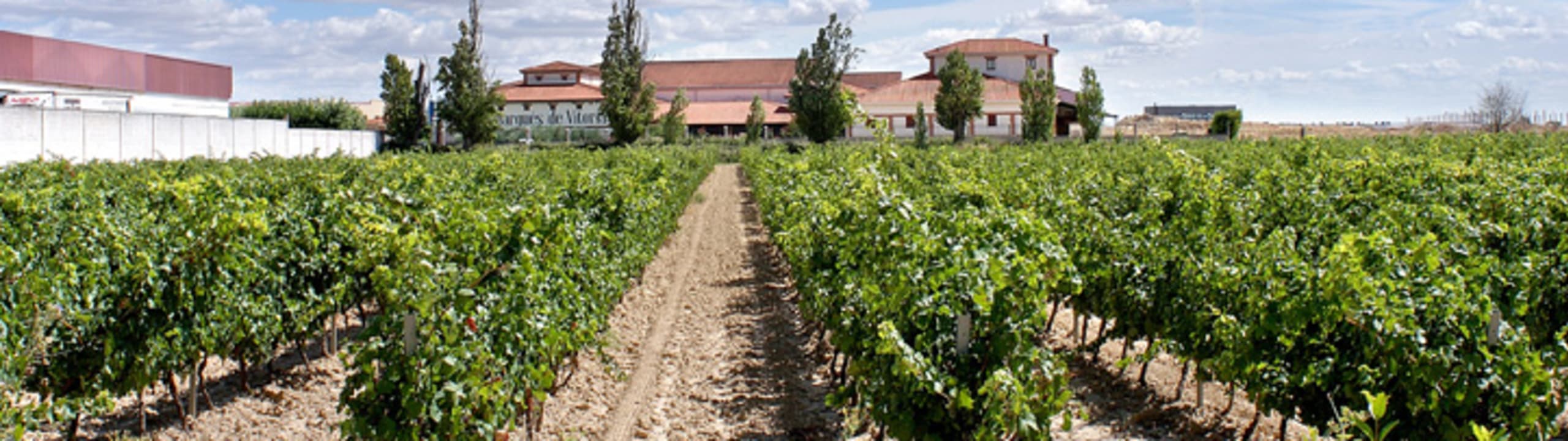 Marqués de Vitoria