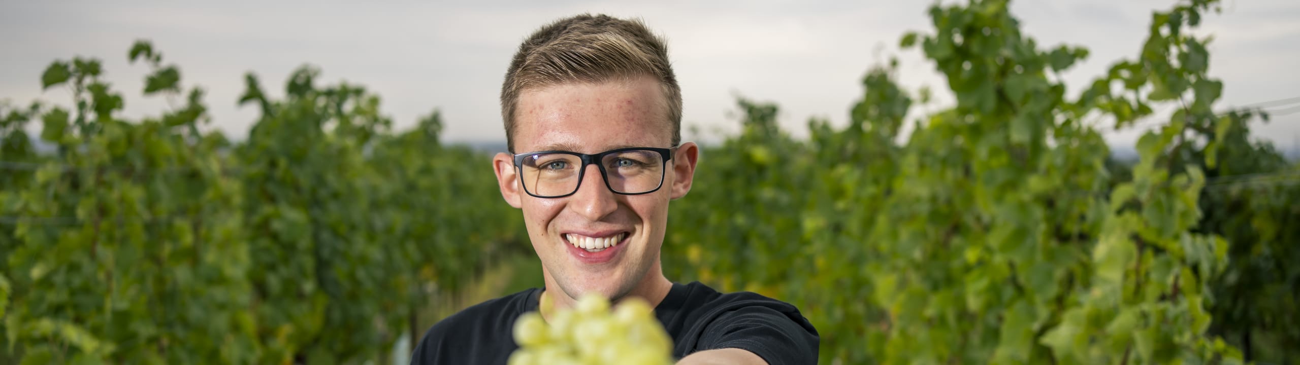 Weingut Reckendorfer
