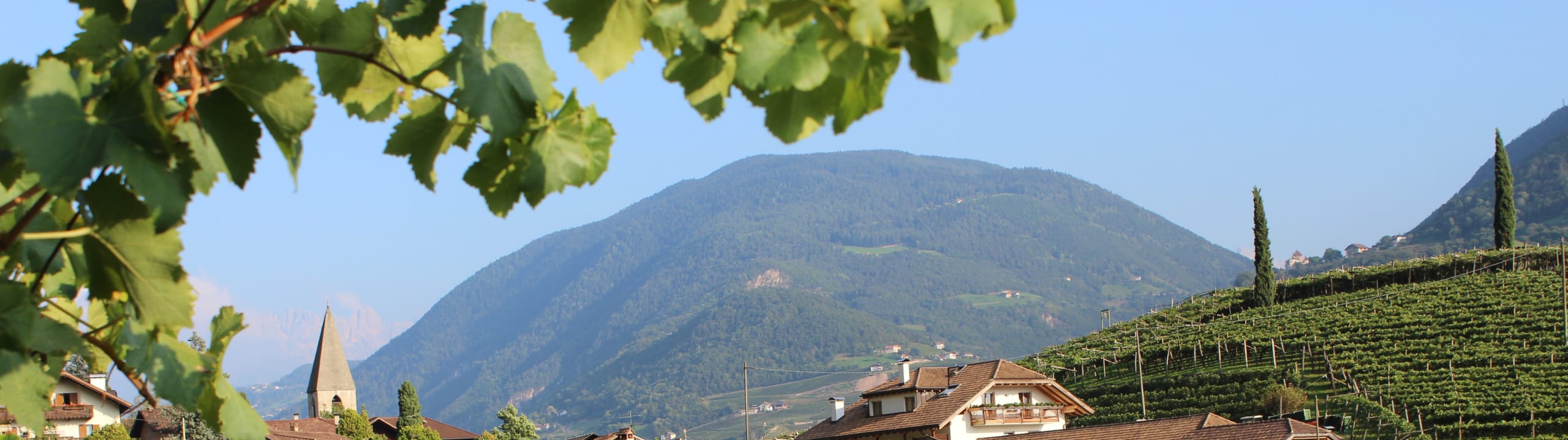 Weingut Eberlehof