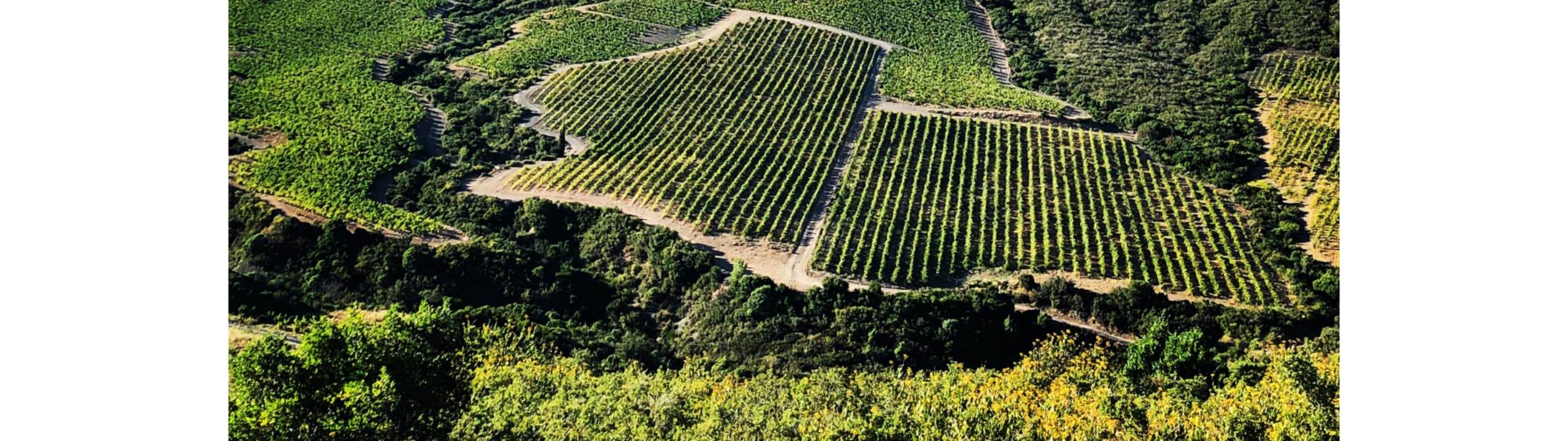 Terres Fidèles