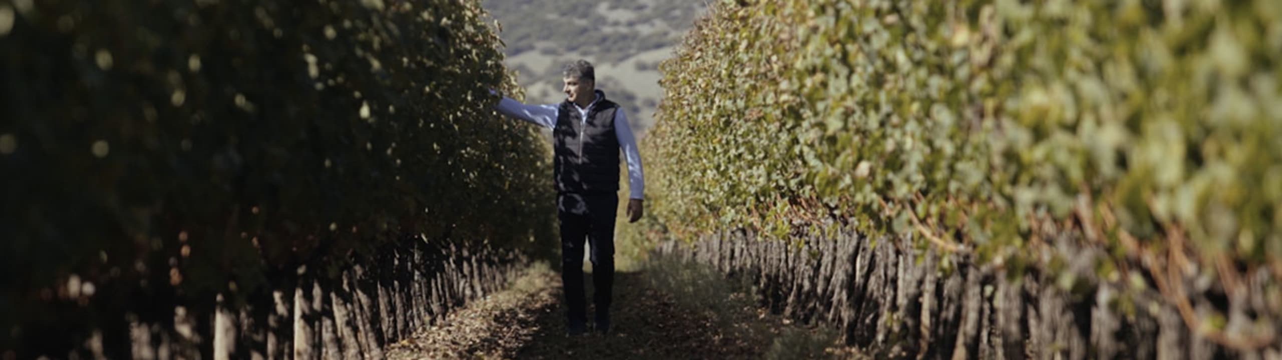 Domaine D. Migas