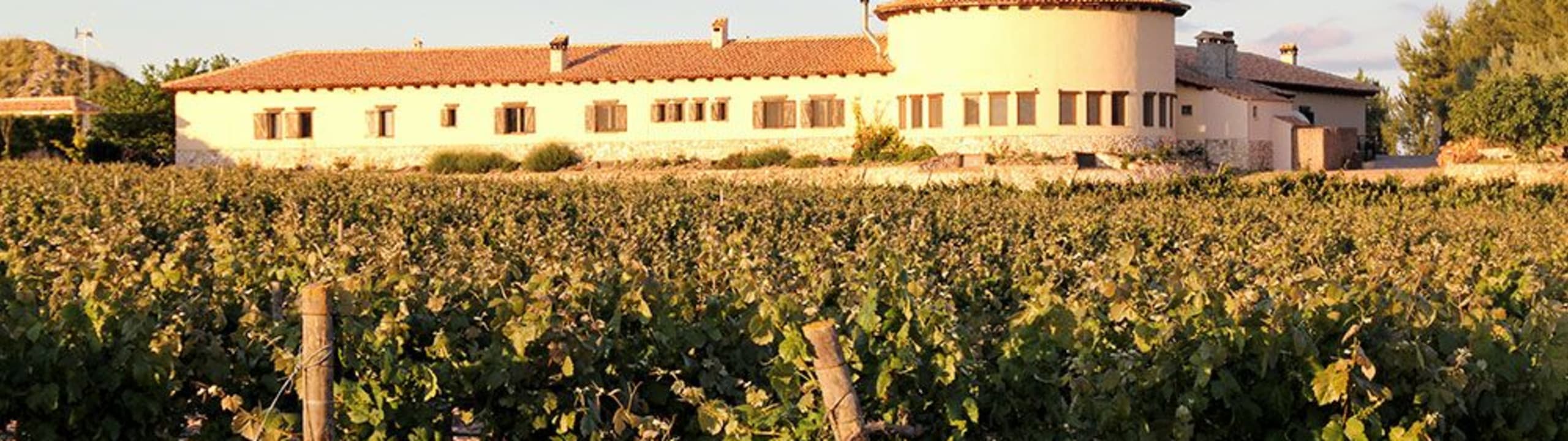 BODEGAS MAINETES, S.L.