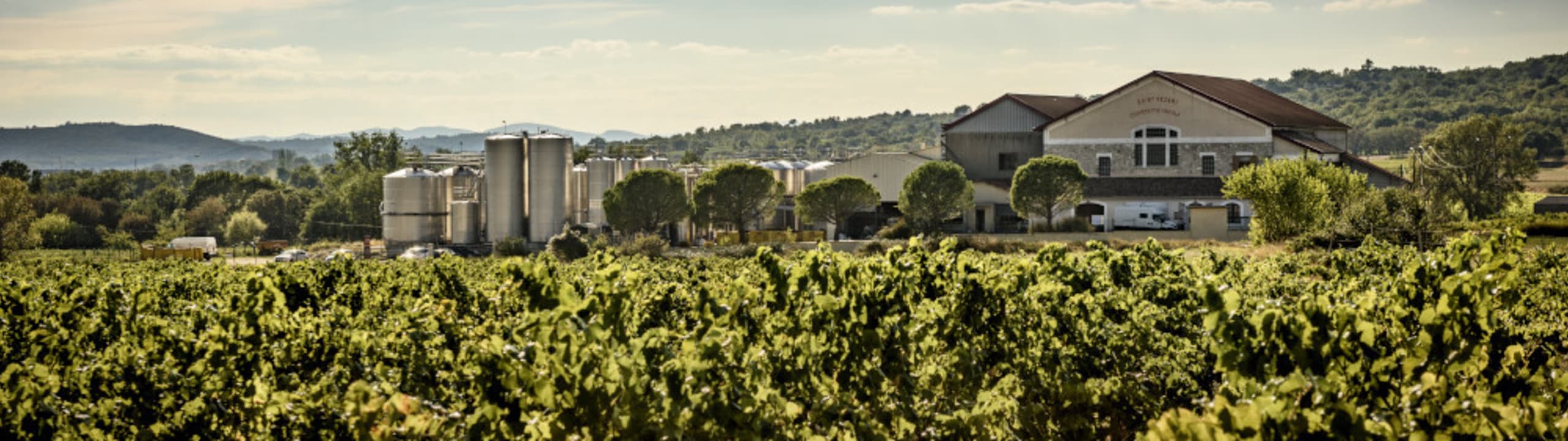 SCA Les Vignerons de Saint-Dézéry