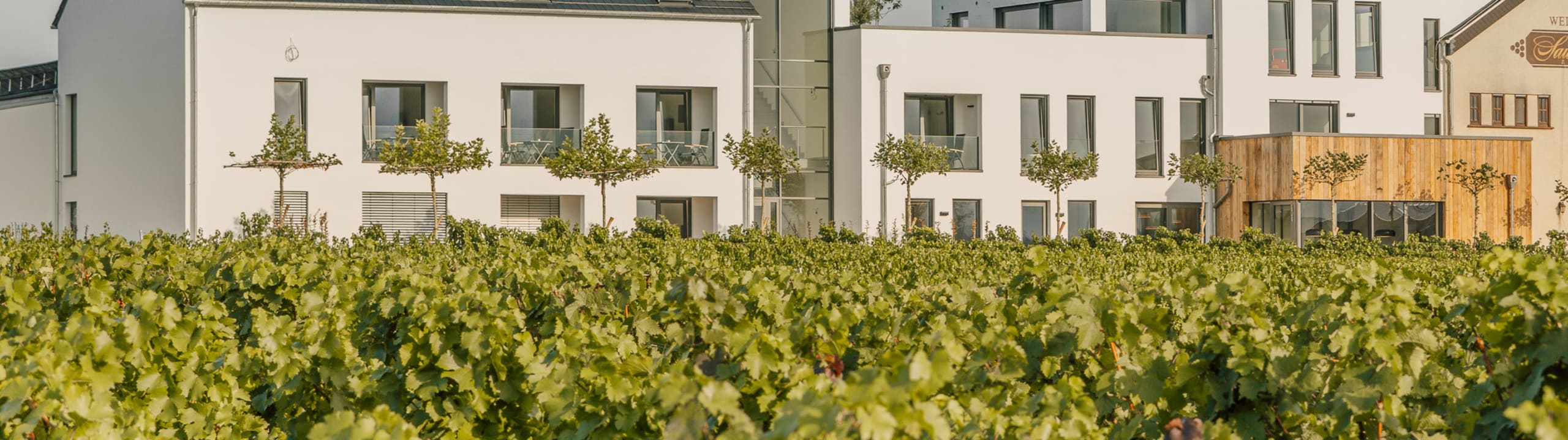 Sauerweins Weingut