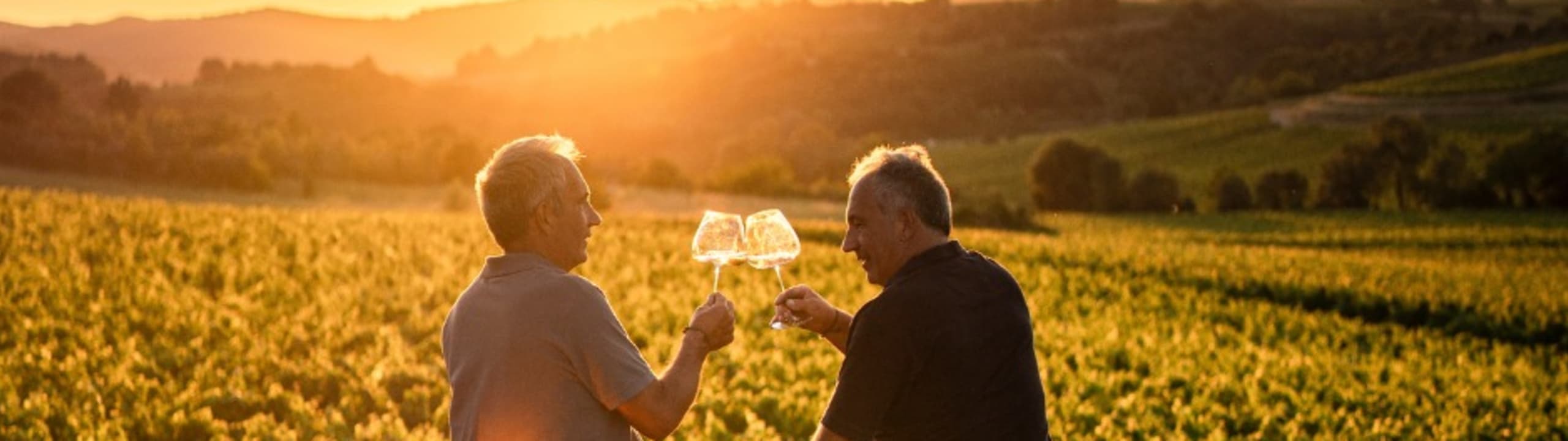 Domaine Saint Martin