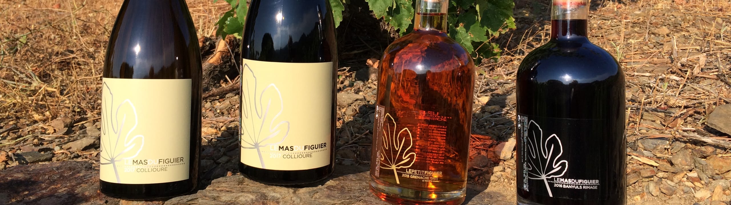 Le Mas du Figuier