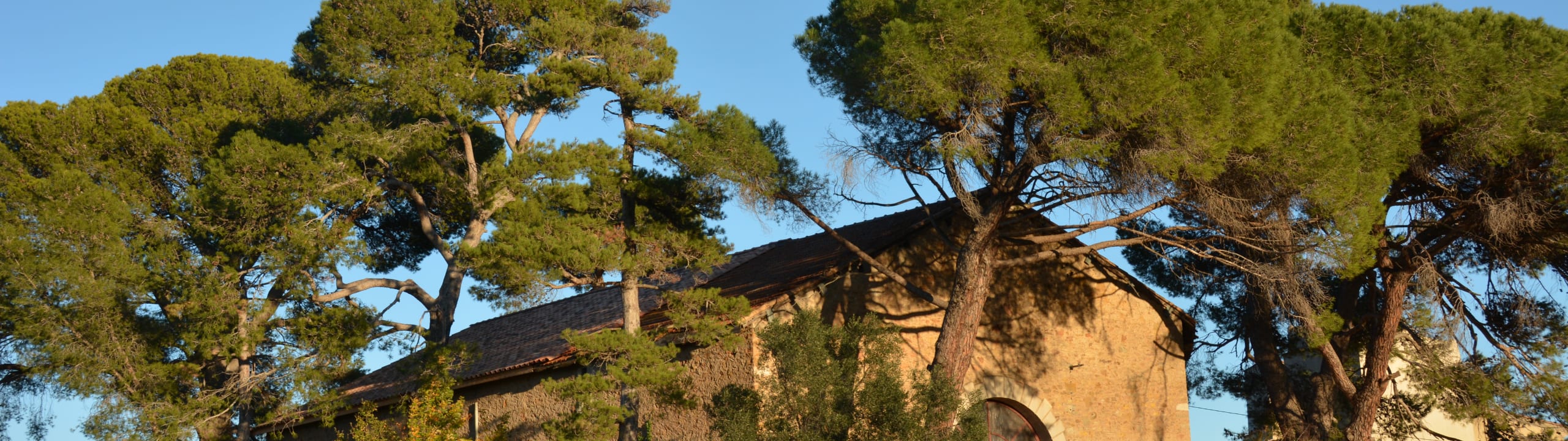 GAEC LES TROIS PUECHS