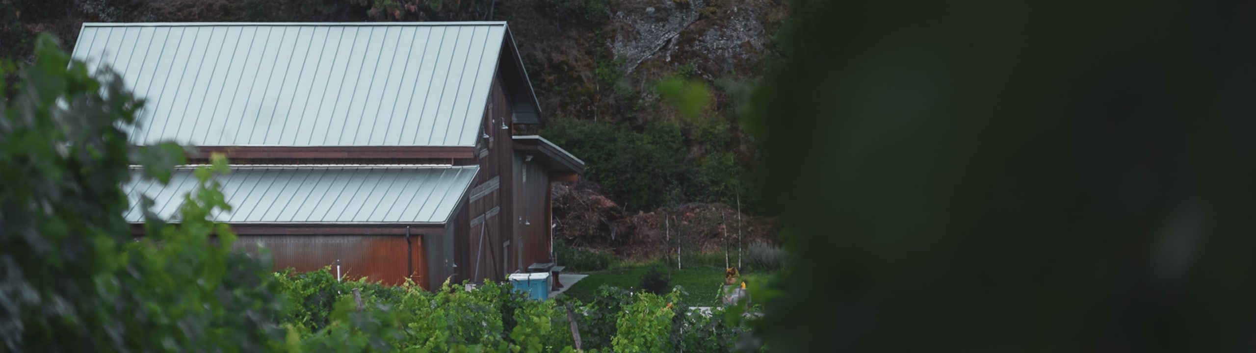 Echo Bay Vineyard