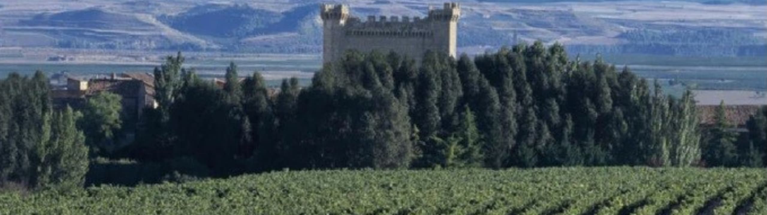 Bodegas Señorío de Líbano