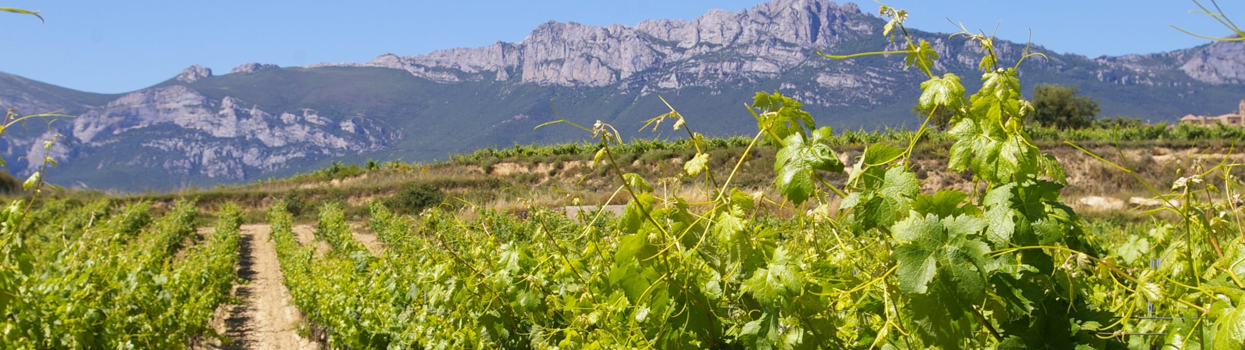 Bodegas Pola-Crayón