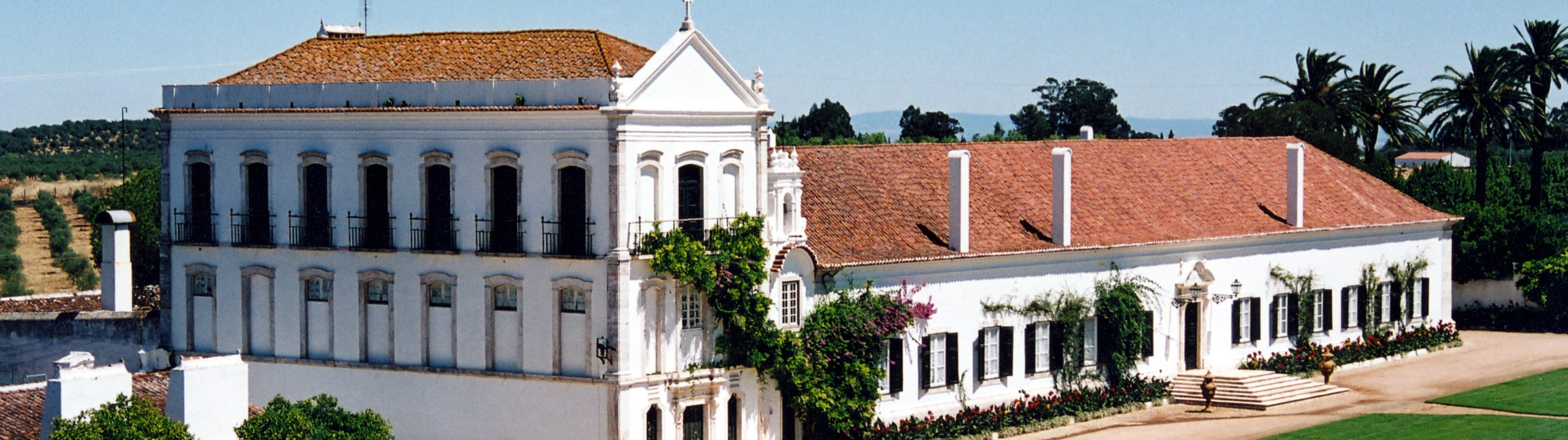 DONA MARIA – JULIO BASTOS