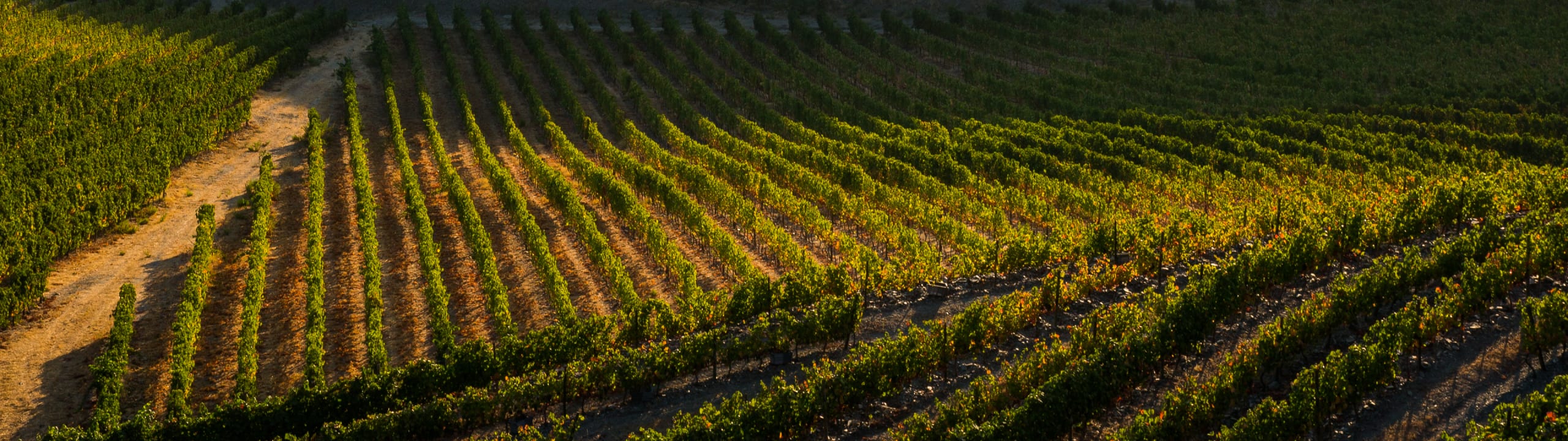 QUINTA DE VENTOZELO
