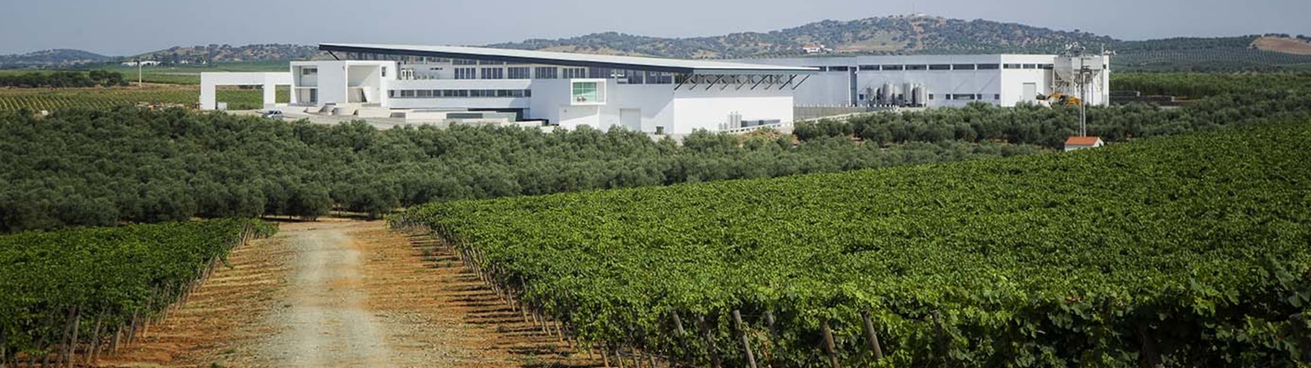 Herdade da Lisboa - Alentejo