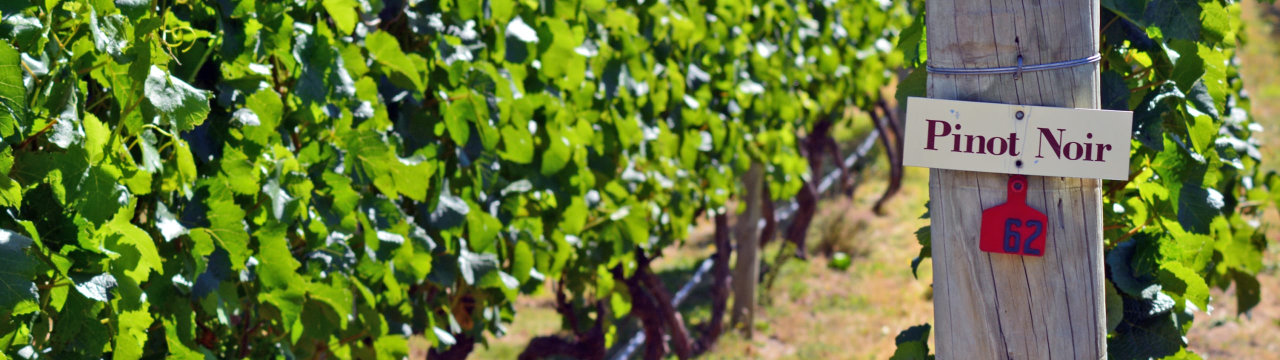 Friarwood Fine Wines