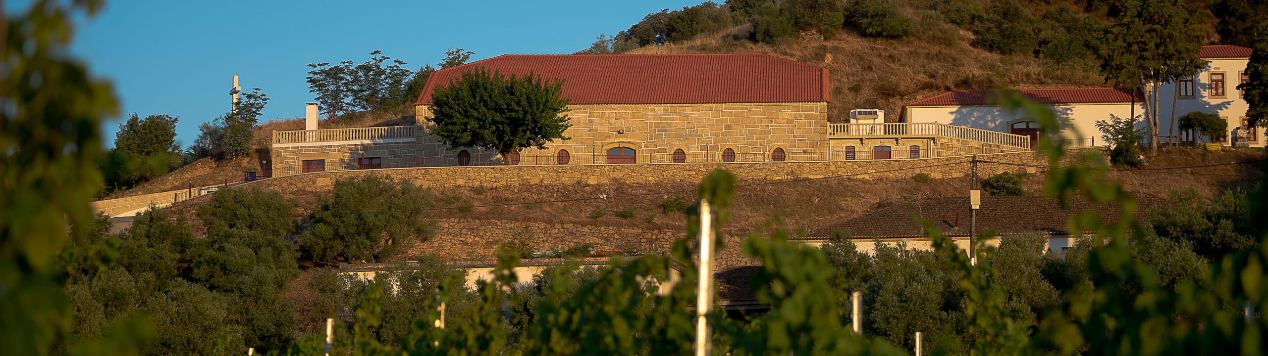 Quinta do Reguengo - Douro