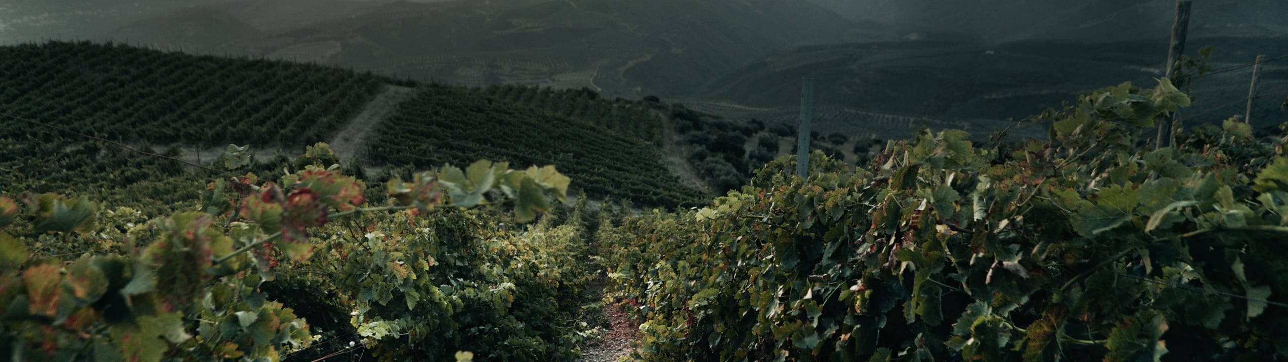 Manousakis Winery