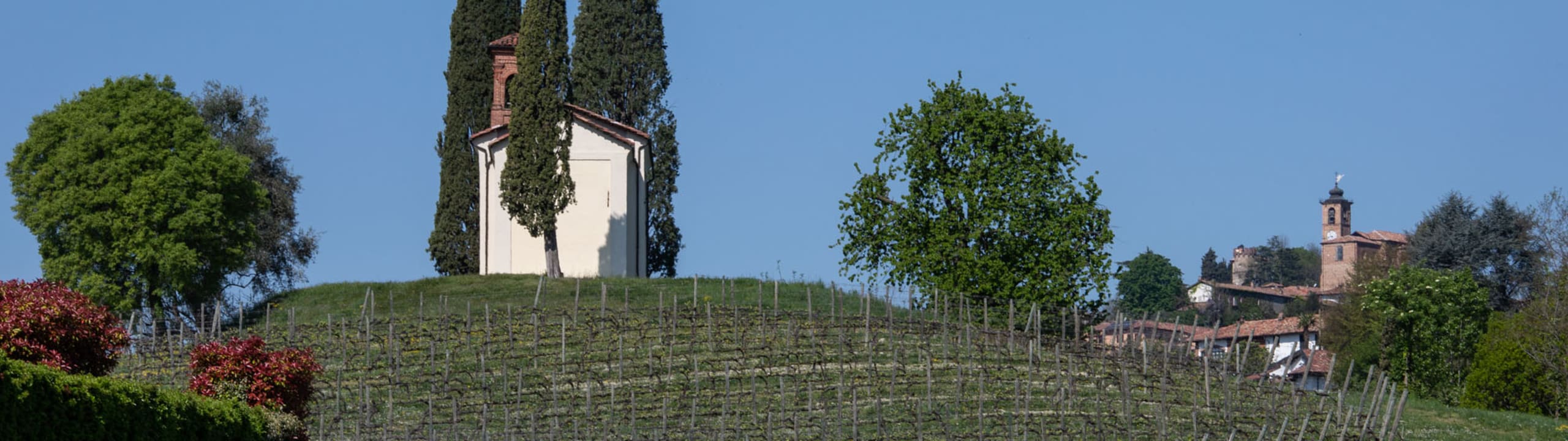 Cantine Bava