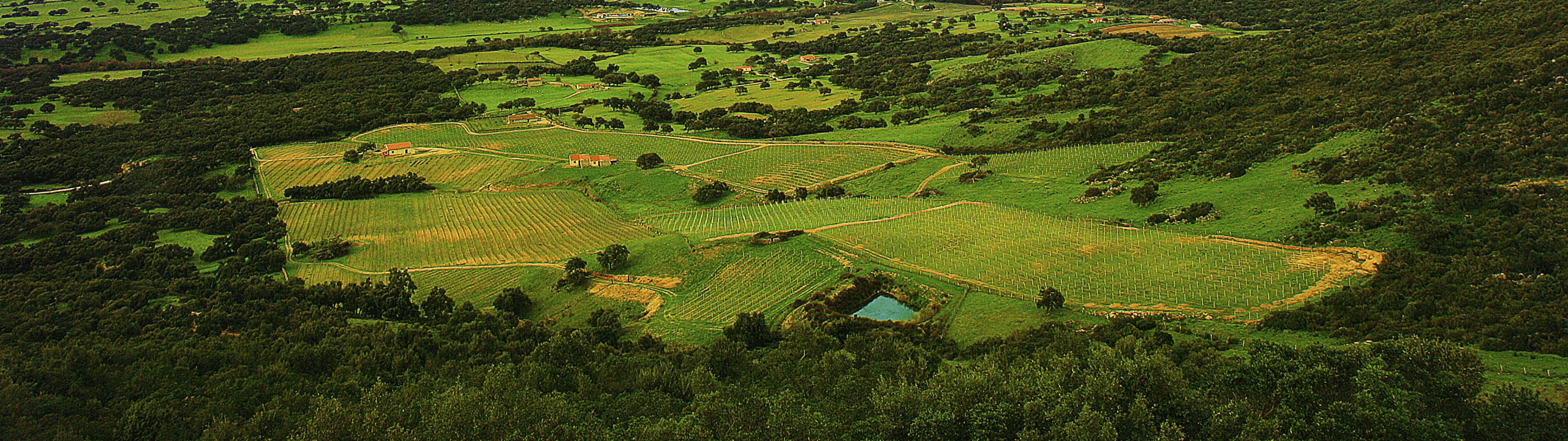 Unmaredivino di Sini Gioacchino