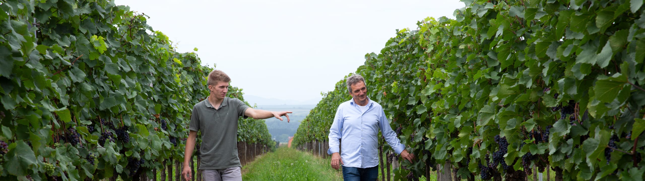 Weingut Helmut Maglock