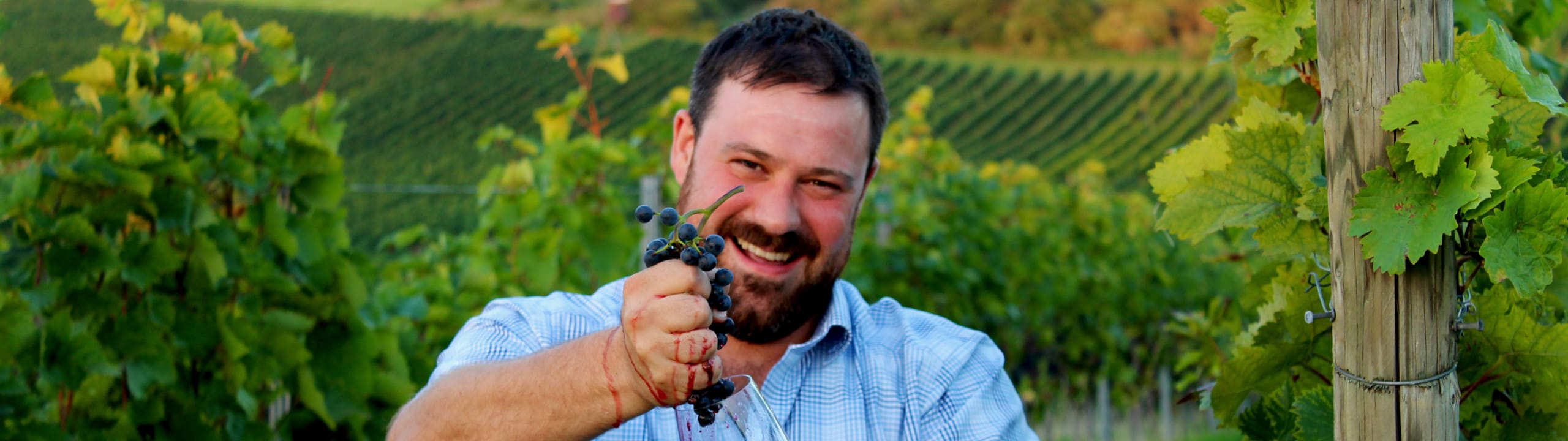 Weingut Konstantin Dengler