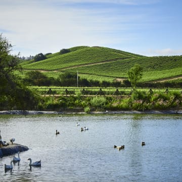 Reservoir
