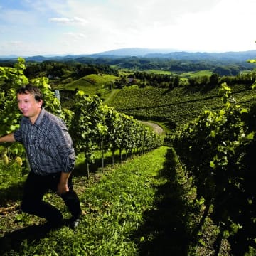 Unsere top Lage für Sauvignon blanc