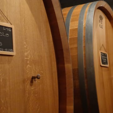 Vietti Cask Cellar