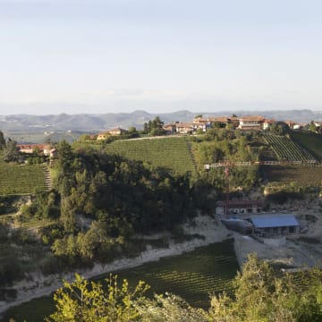 Barolo MGA Cru Rocche di Castiglione in Castiglione Falletto