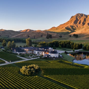 Giants Winery and Te Mata Peak_Hero Image