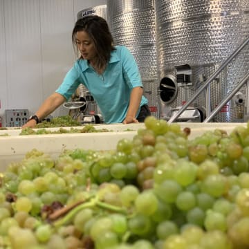 Cecil Receiving Viognier