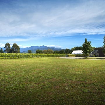 Te Whare Ra winery