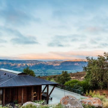 OVID.Napa Valley