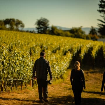 Winemaking team in Estate Vineyard