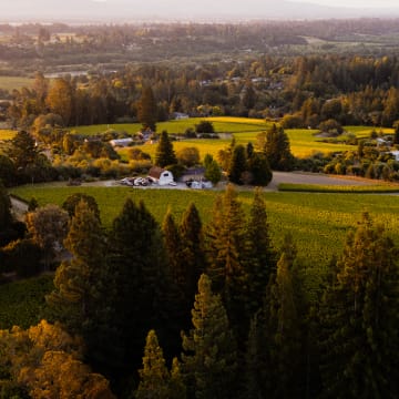 DuMOL Estate Vineyard