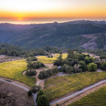 Coastlands Vineyard