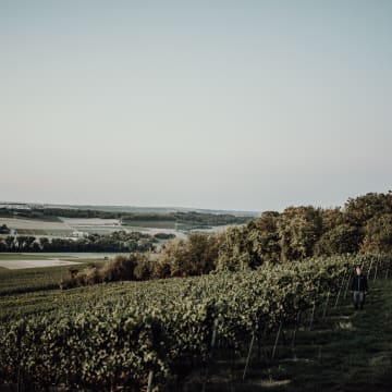 Braunewell | Teufelspfad