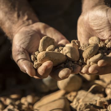 Cailloutis Villafranchiens