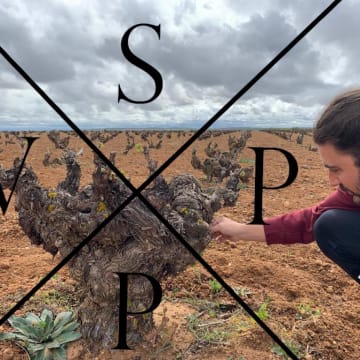 SOTERO PINTADO PREFILOXERIC VINEYARDS