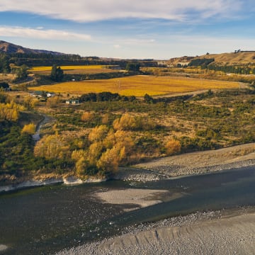 Aerial photo of vineyard