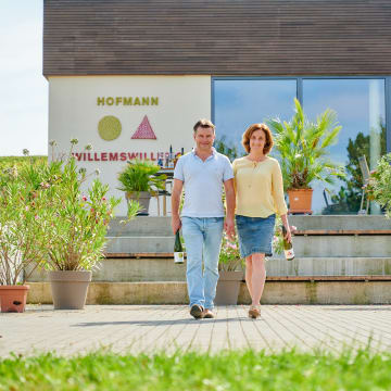 Weingüter Willems & Hofmann