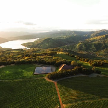 Pritchard Hill/ Winery Overview