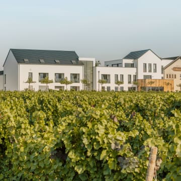 SAUERWEINS Weingut