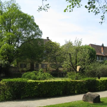 Das Weingut in Diersburg