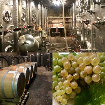 EINBLICK IN UNSEREN KELLER