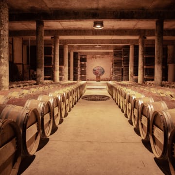 Verdots wine cellar